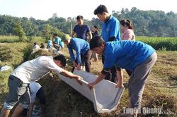 Nâng tỷ lệ đảng viên trong đội ngũ trưởng tổ chức đoàn thể thôn
