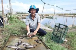 Nuôi thủy sản ở Huế mỗi năm thu 23 tỷ đồng