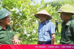 Bộ đội Cụ Hồ miệt mài 'xây' miền quê đáng sống