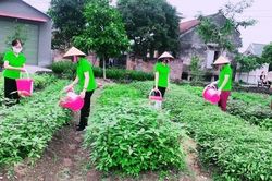 Phát động Giải thưởng Báo chí tài nguyên và môi trường lần thứ VII