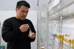 Nâng giá trị cho cây bơ