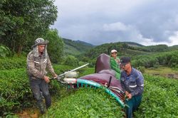 Cây chủ lực xóa nghèo ở khu tái định cư Ngọc Lâm (Thanh Chương)