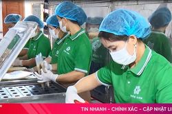 Hiện đại hóa nghề làm bánh đa nem ở TP Hà Tĩnh