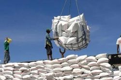 Ấn Độ nới lỏng hạn chế xuất khẩu gạo