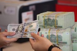 Tỷ giá USD hôm nay 1/10/2024: USD thế giới tăng, trong nước giảm