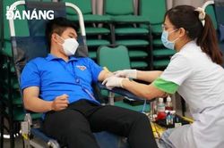 Đảng viên trẻ tích cực với các hoạt động xã hội