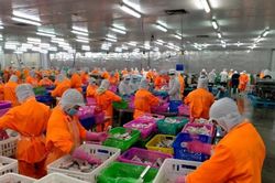 Navico là doanh nghiệp xuất khẩu cá tra lớn thứ 2 sang Colombia