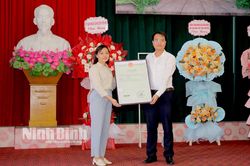 Công bố Giấy chứng nhận đăng ký nhãn hiệu 'Rau cần Yên Hòa - Yên Mô'
