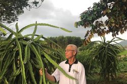 Có sức người sỏi đá cũng thành cơm