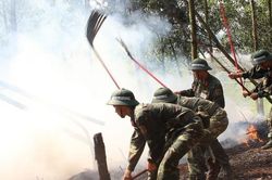 Bắc Giang: Tập trung thực hiện công tác phòng cháy, chữa cháy rừng mùa khô 2024 - 2025