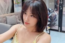 Mai Phương Thúy xin lỗi