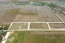 Hoàn tất đấu giá lại 23 lô đất tại huyện Quỳnh Lưu mà cán bộ xã từng trúng