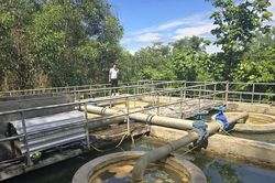 Nhiều điểm lấy nước thô đầu vào ở Nghệ An bị ô nhiễm