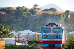 Giá nông sản ngày 5/10/2024: Cà phê và hồ tiêu cùng giảm sâu