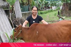 Mô hình sinh kế trao cơ hội cho phụ nữ nghèo vươn lên