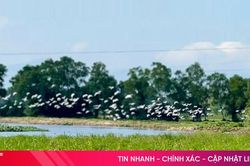 Dự báo thời tiết Hà Tĩnh trong 6 ngày tới