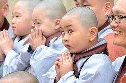 Có nên cho trẻ nhỏ quy y?