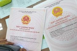 Các trường hợp không được cấp Giấy chứng nhận quyền sử dụng đất theo Luật Đất đai 2024