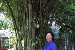 Bệnh nhân ung thư có thêm hy vọng kéo dài tuổi thọ?