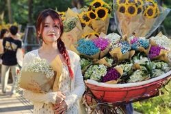 Vẻ đẹp Thu Hà Nội