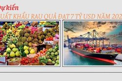 Kỷ lục mới về xuất khẩu rau quả