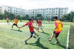 Buổi chiều thể dục - thể thao
