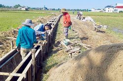 Xác định chi phí chung công trình nông nghiệp thế nào?
