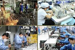 Sản xuất, xuất khẩu giữ nhịp phục hồi và tăng trưởng