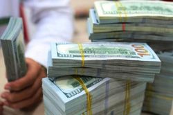 Tỷ giá USD hôm nay 11/10: Đồng USD thị trường tự do quay đầu giảm