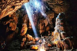 Xây dựng làng du lịch cộng đồng gắn với bảo tồn loài vượn quý hiếm