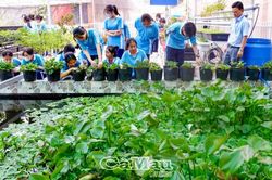 Góc xanh trường học