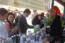 Chuyển từ trồng dược liệu sang phát triển công nghiệp dược liệu