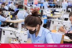 Vi phạm quy định về sử dụng lao động dưới 16 tuổi bị xử phạt thế nào?