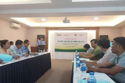 Tập huấn kỹ thuật sản xuất hạt giống lúa LH12
