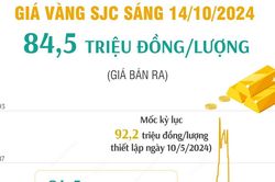 Giá vàng hôm nay 14/10 tiếp tục đi ngang