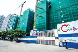 Chỉ vừa đủ hoàn thành kế hoạch năm, Coteccons (CTD) muốn trả cổ tức tiền mặt tỷ lệ 10%