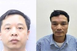 Nguyên nhân khiến Phó tổng Giám đốc Công ty Cổ phần xi măng Hạ Long xộ khám