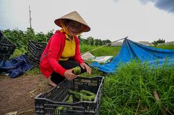 Đông Hà triển khai có hiệu quả các giải pháp giúp giảm nghèo bền vững, đa chiều