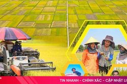 Hành trình xây dựng thương hiệu gạo Can Lộc
