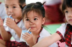 Dinh dưỡng học đường: Khuyến nghị cho Việt Nam từ các bài học kinh nghiệm trên thế giới