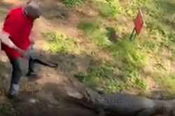CLIP: Bị cá sấu tấn công, người đàn ông có phản ứng khiến người xem bất ngờ nhưng nhìn sang cái kết còn 'sốc' hơn