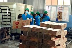 Gia Lai: Toàn tỉnh có 764 doanh nghiệp thành lập mới