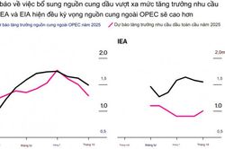 Tại sao các nhà giao dịch dầu mỏ trở nên bi quan về năm 2025?