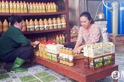 Xây dựng thương hiệu, nâng cao giá trị nông sản Nghệ An