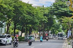 Cần trồng cây xanh phù hợp điều kiện thổ nhưỡng, khí hậu