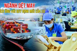 Ngành dệt may thích ứng với quy định mới của EU về thiết kế sinh thái
