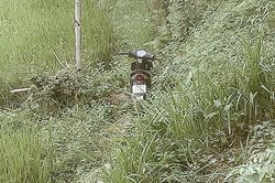 Lái xe trong đêm, người đàn ông lao xuống ruộng lúa tử vong