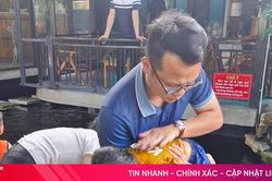 Ẩn họa từ những hồ cá Koi không rào chắn trong quán cà phê