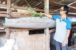Chư Păh quan tâm tạo sinh kế cho hộ nghèo
