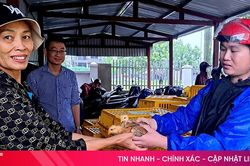 Trao gần 2.500 con gà giống cho hộ nghèo Nghi Xuân